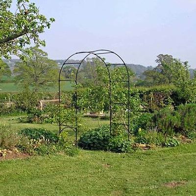 Agriframes Fruit Tree Arch
