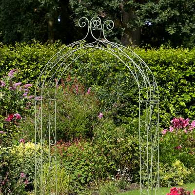 Crocus Ornate Scroll Arch