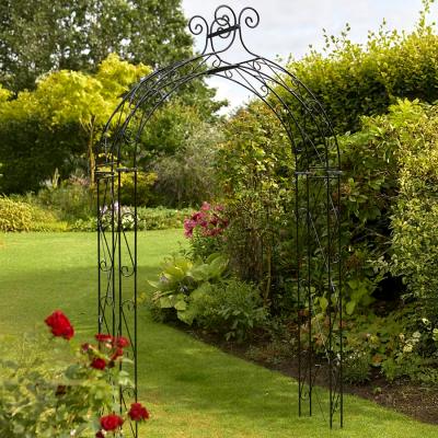 Crocus Ornate Scroll Arch - Black