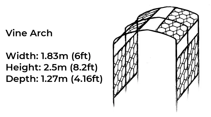 Vine arch dimensions